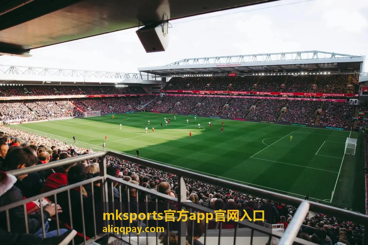 mksports官方app官网入口最新信息配图
